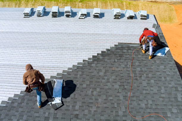 Best Roof Moss and Algae Removal  in Carthage, TX